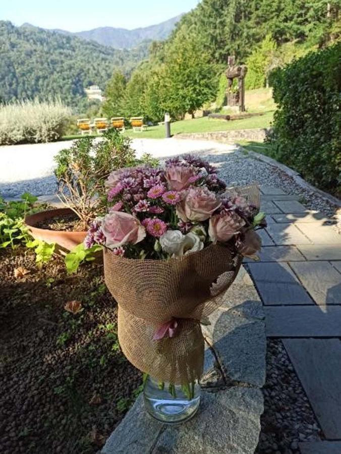 Il Bosco Di Campo Marzano Studios Borzonasca Exterior foto