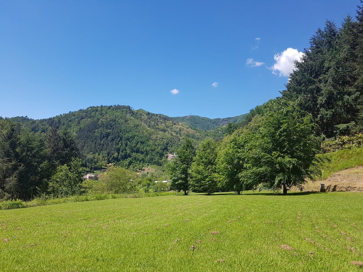 Il Bosco Di Campo Marzano Studios Borzonasca Exterior foto