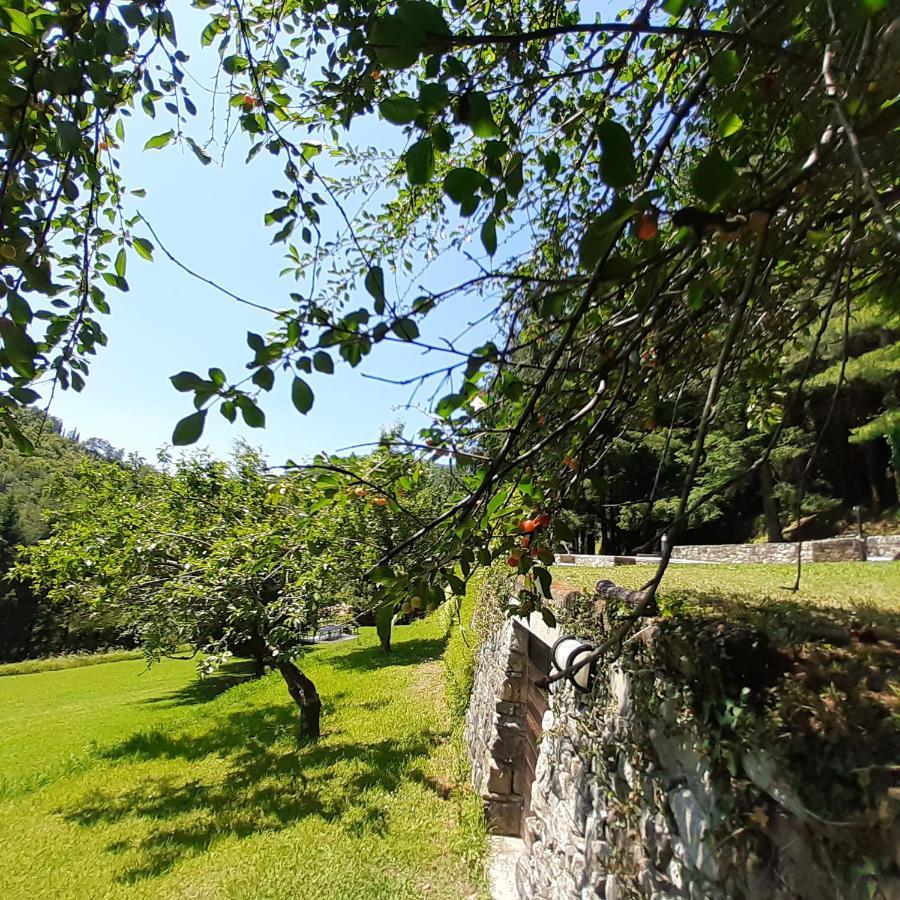 Il Bosco Di Campo Marzano Studios Borzonasca Exterior foto