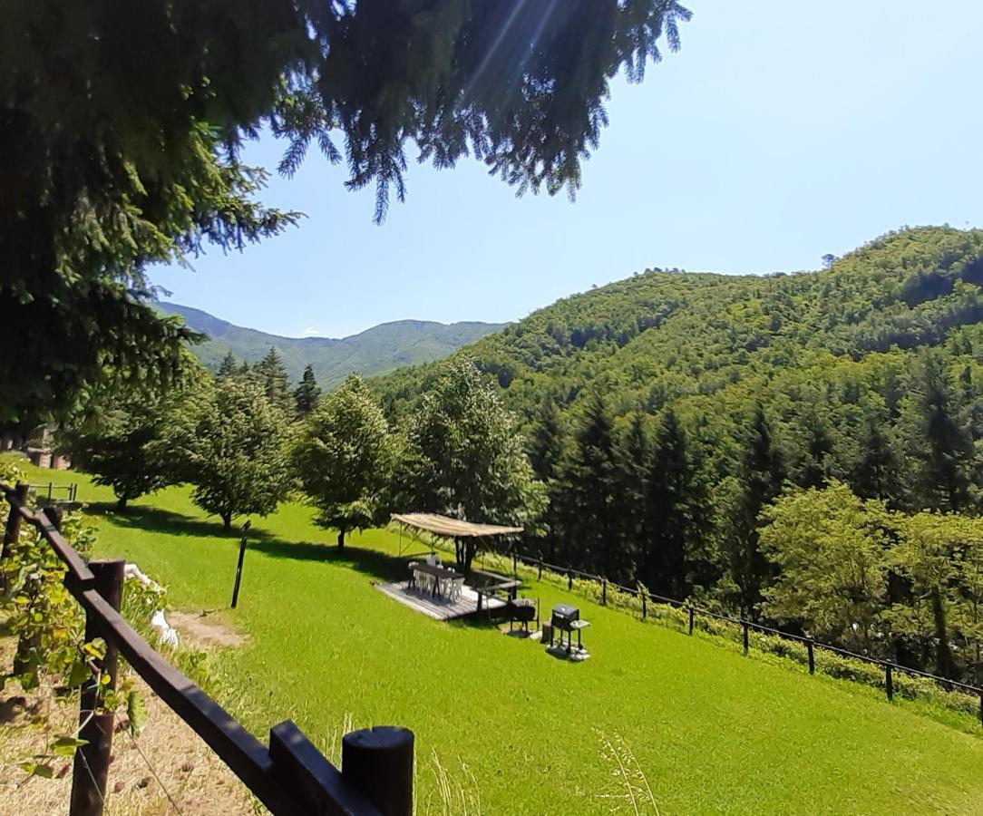 Il Bosco Di Campo Marzano Studios Borzonasca Exterior foto